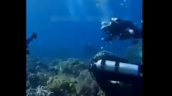 فیلم حیرت انگیز از وقوع زلزله در زیر دریا 