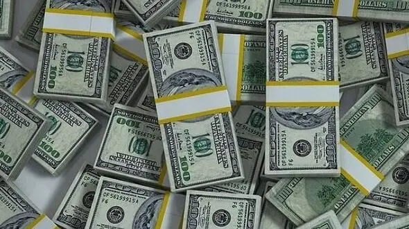 کشف دو هزار و ۶۰۰ دلار سرقتی در  میاندوآب /سارقان دستگیر شدند