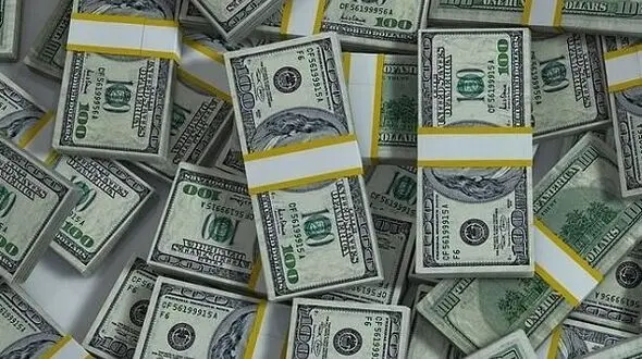 کشف دو هزار و ۶۰۰ دلار سرقتی در  میاندوآب /سارقان دستگیر شدند