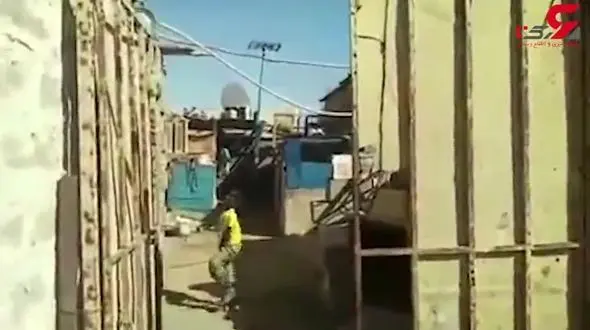 زندگی با دلهره در لا به لای کابل های برق در جنگلُک ‎چابهار 