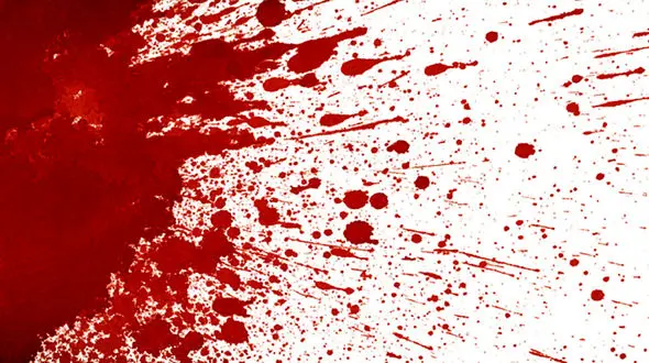 راز جنازه های سر بریده 3 مرد و یک زن بدون لباس در کلبه جنگلی / انگلیس