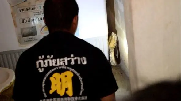 پنهان شدن مار کبری پشت لباسشویی یک خانه+عکس