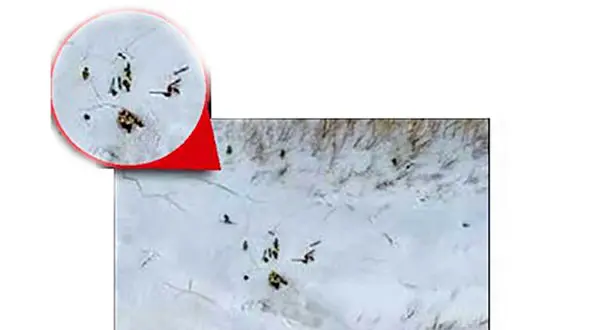 دفن 4 نفر زیر بهمن مرگ+ عکس