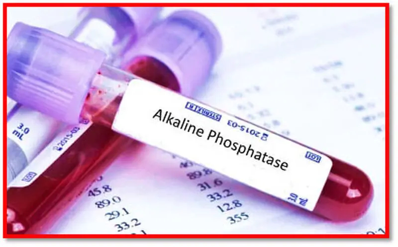 alk.phos در آزمایش خون چیست