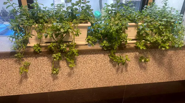 طالع بینی اول اسفند 