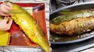 سبزی پلو با ماهی شکم پر ناهار روز جمعه + فیلم