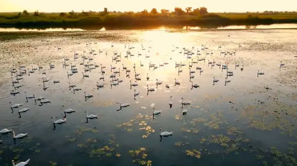 ریلکس کنید / نماهنگ بی کلام آرامش بخش با تصاویر زیبای طبیعت + فیلم 