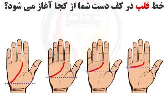 فال عشق کف دست ! /   خط قلبت در کف دستت چه شکلیه ؟! /  عشقت را بدان !