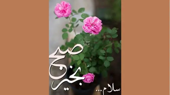 فال ابجد امروز / 2 بهمن ماه + فیلم 