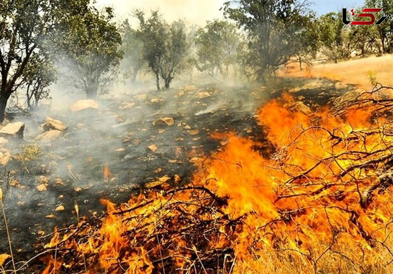 وقوع ۱۳ آتش‌سوزی در مناطق حفاظت شده کرمانشاه