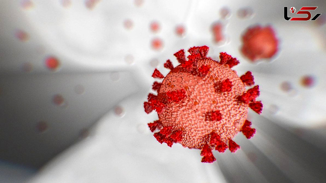 سرایت ویروس انگلیسی کرونا 60 تا 70 درصد افزایش یافته است 