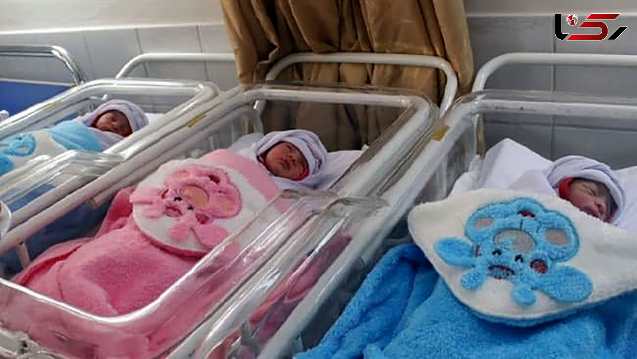 تولد سه قلوهای گلستانی در مرکز درمانی ناباروری 