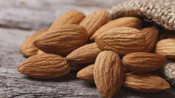 خواص و تفاوت های بادام تلخ و شیرین
