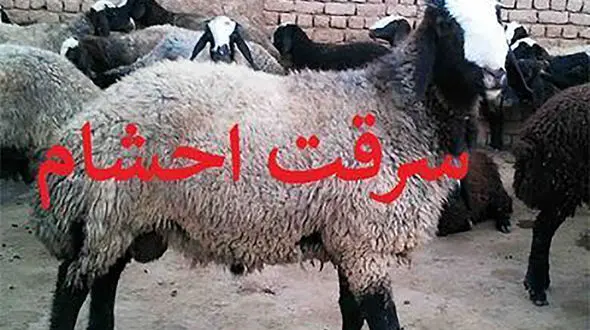 دستگیری سارق حرفه‌ای احشام در خرم آباد