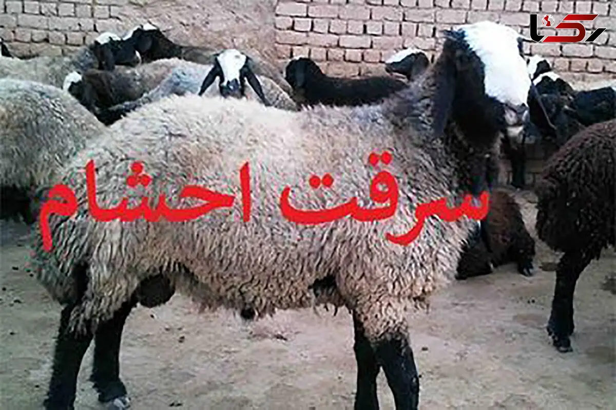 انهدام باند 4 نفره سارقان احشام در نجف آباد
