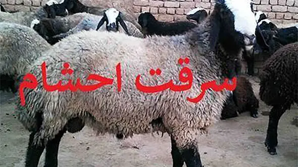 دستگیری سارق حرفه‌ای احشام در خرم آباد