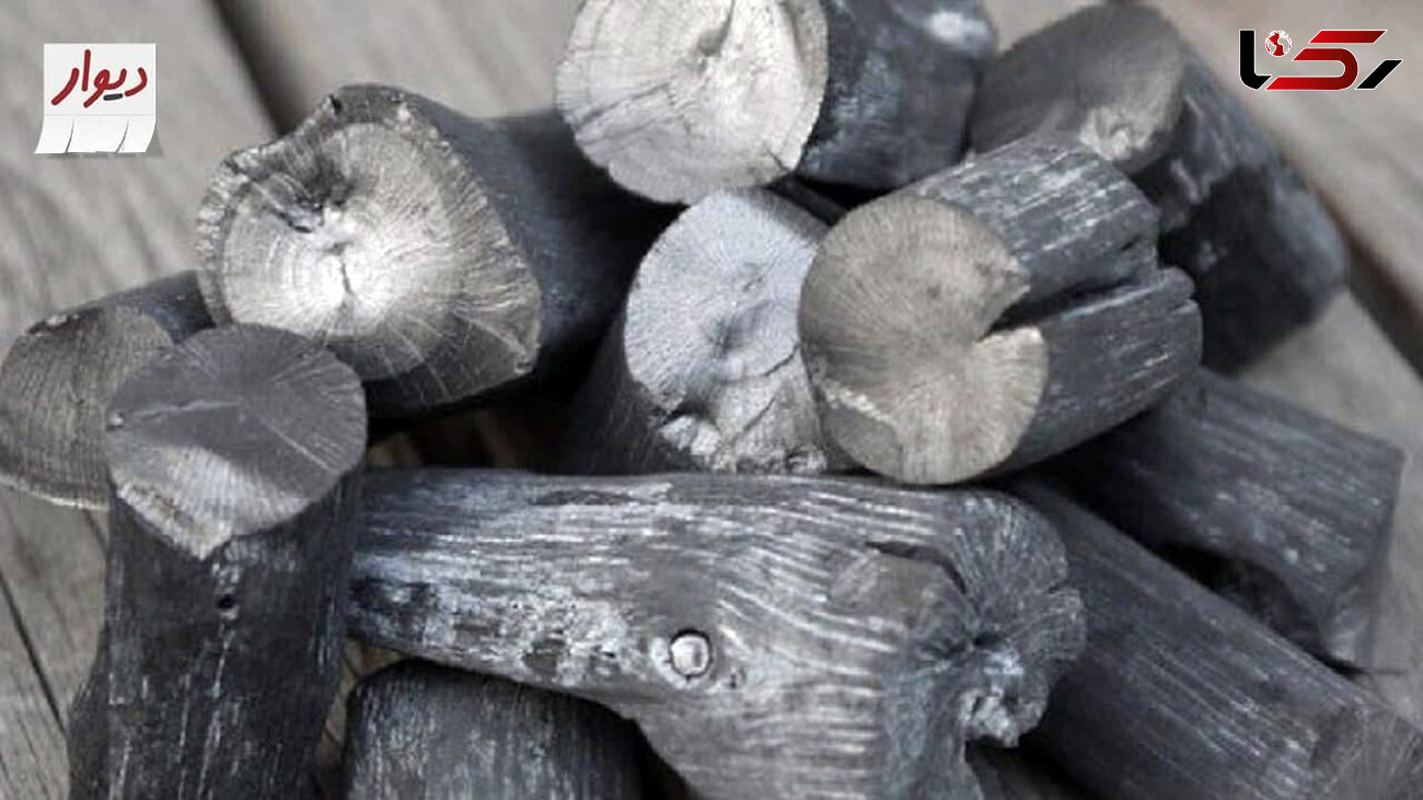 ممنوعیت خرید و فروش زغال بلوط در سایت دیوار
