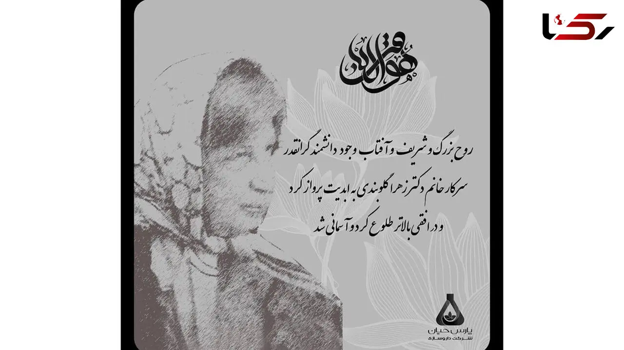 بنیانگذار شرکت پارس حیان آسمانی شد