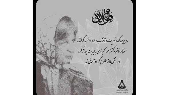 بنیانگذار شرکت پارس حیان آسمانی شد