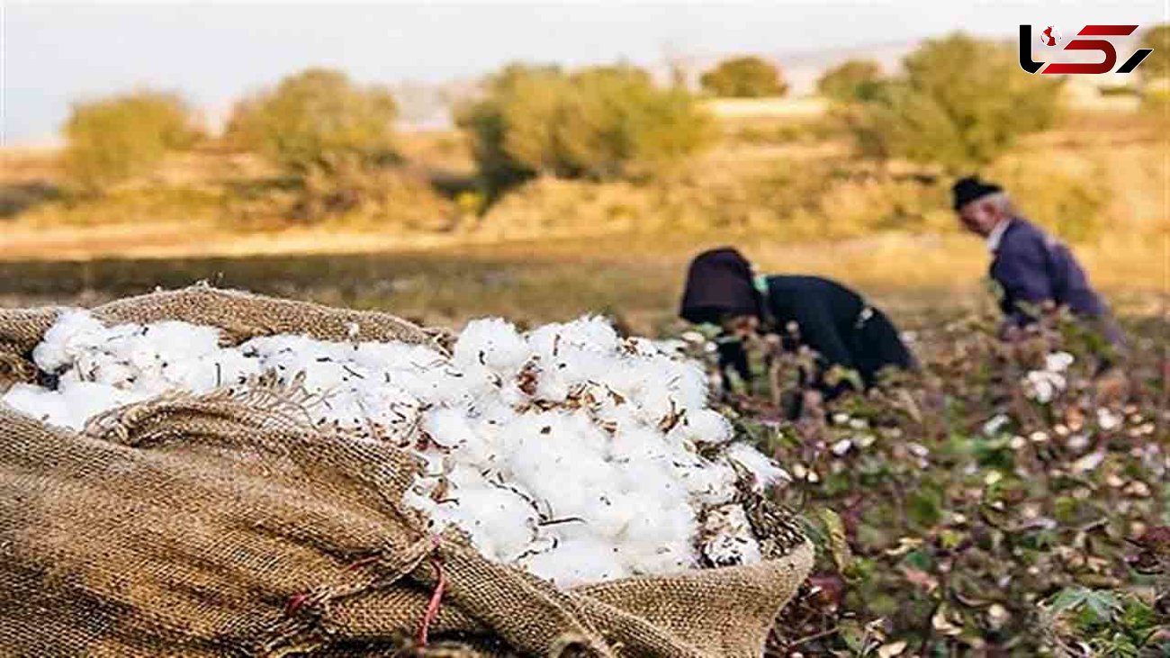 بسته‌های حمایتی دولت برای صنایع نساجی و کشاورزان