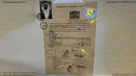 نام خلیج فارس در سند لو رفته از گذرنامه شیخ‌ زاید بنیانگذار امارات  / عرب ها دیگر آبروریزی نکنند!