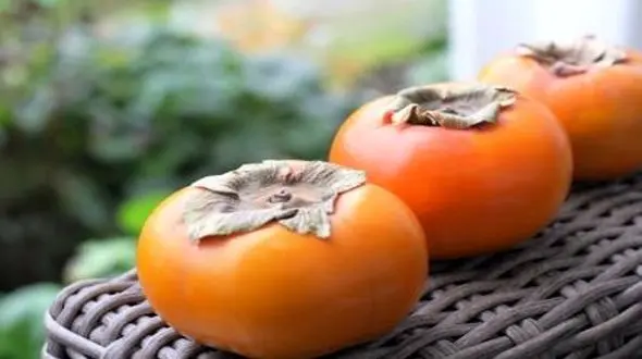 تنها میوه پاییزی که جوان تان می کند