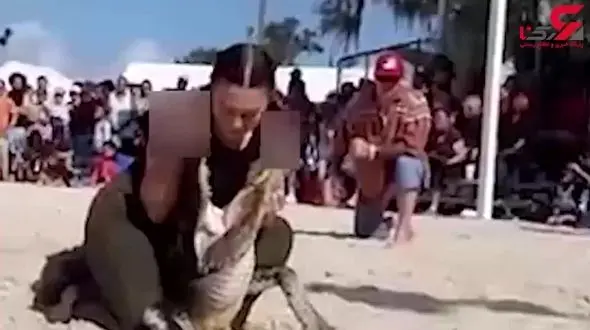 بازی مرگ یک زن جوان با کروکودیل + فیلم / میامی