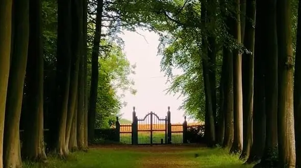 کارهای کوچک، تغییرات بزرگ