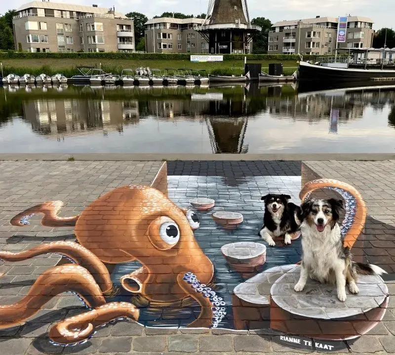 نقاشی خیابانی