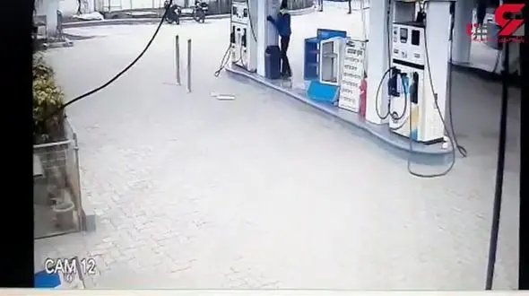 حمله خوک وحشی به اهالی یک روستا+فیلم / هند