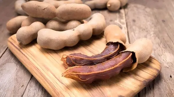 خواص تمر هندی برای بدن؛ از فیبر تا ترکیبات آنتی‌ اکسیدانی