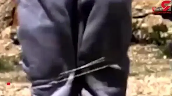 ساخت وسیله ای که بدون ایجاد جراحت می‌تواند مجرمان را دستگیر کند + فیلم