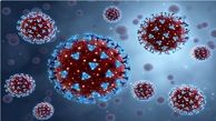 کشف سویه جدید و خطرناک ویروس کرونا در آفریقای جنوبی
