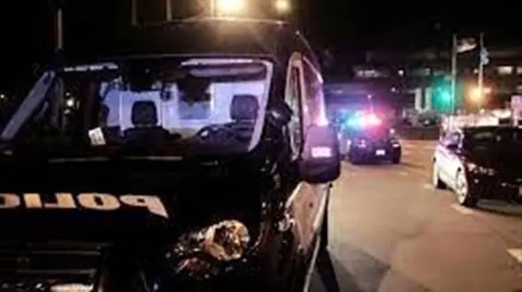 ورود مرگبار شاسی بلند به جمعیت رژه کریسمس + فیلم لحظه ضجه های مردم