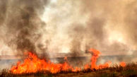 ۹۰ هکتار زمین‌های «تنگ ارم» دشتستان در آتش سوخت