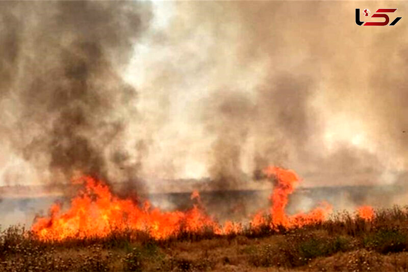 ۹۰ هکتار زمین‌های «تنگ ارم» دشتستان در آتش سوخت