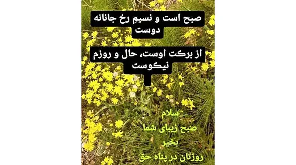 فال ابجد امروز 20 فروردین + فیلم