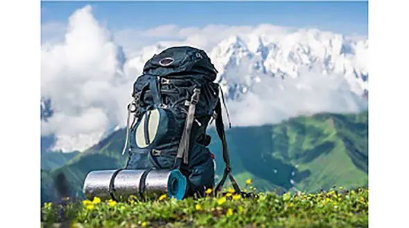 با تور‌های غیرمجاز در بروجرد برخورد می شود