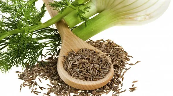 خواص معجزه آسای رازیانه را بشناسید