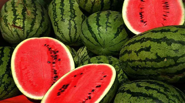 بررسی ادعای آلودگی هندوانه‌ های ایرانی به نیترات 