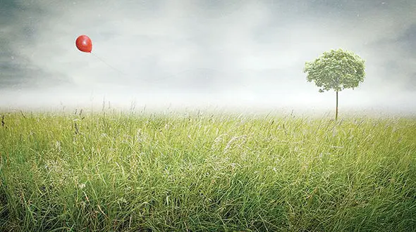 عروس 20 ساله زندگی اش را باخت / وقتی به ملاقات شوهرم در زندان رفتم این بلا سرم آمد