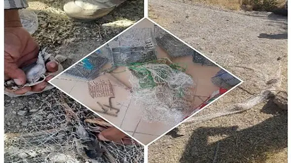 متخلفان صید غیر مجاز در اردل دستگیر شدند