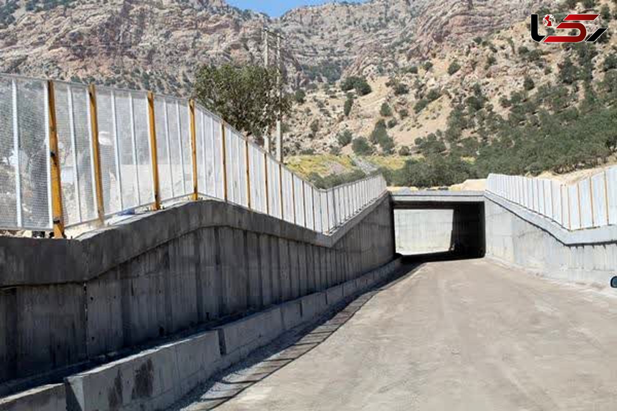 بهره برداری از زیرگذر ارغوان شهر ایلام تا اربعین سال جاری