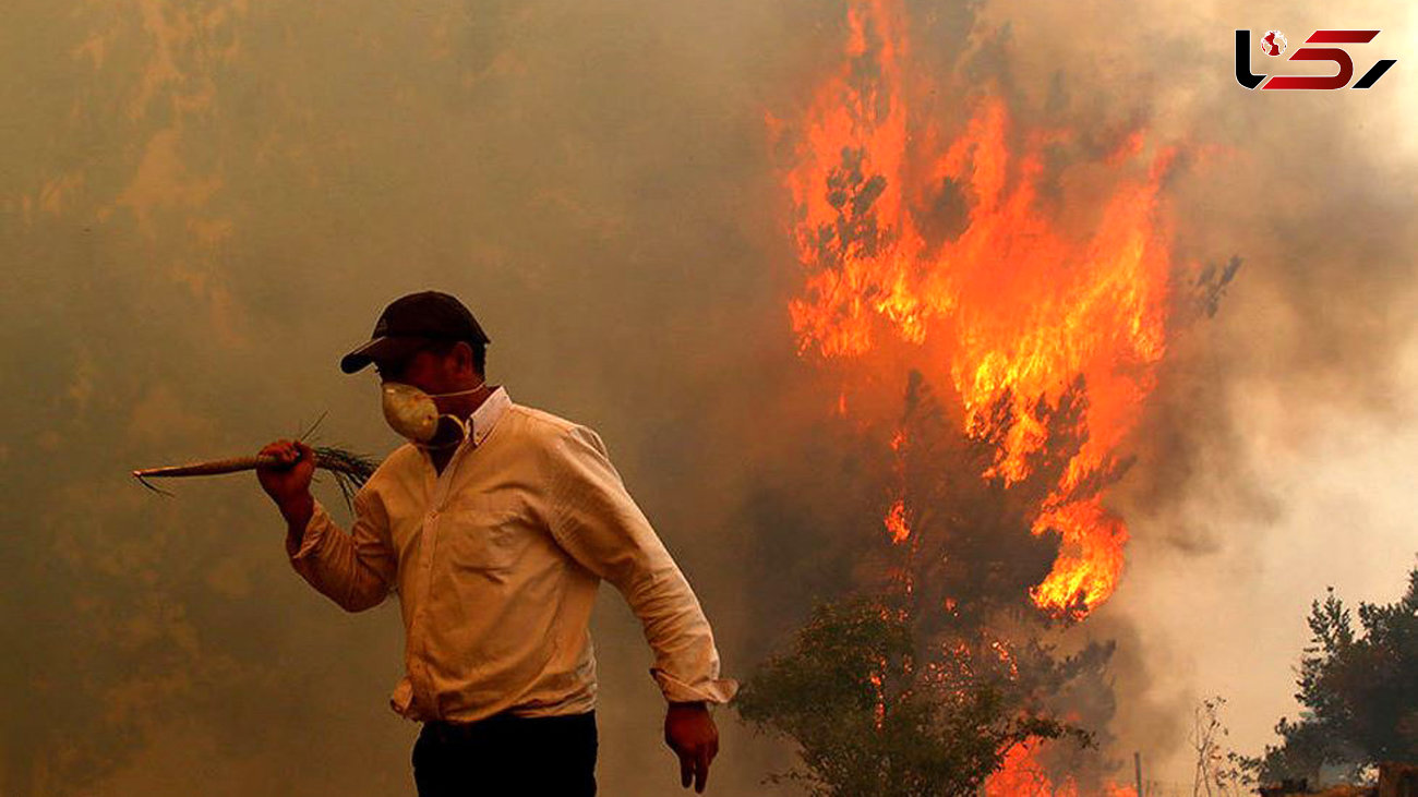 آتش جنگل های شیلی 11 نفر را در خود سوزاند 