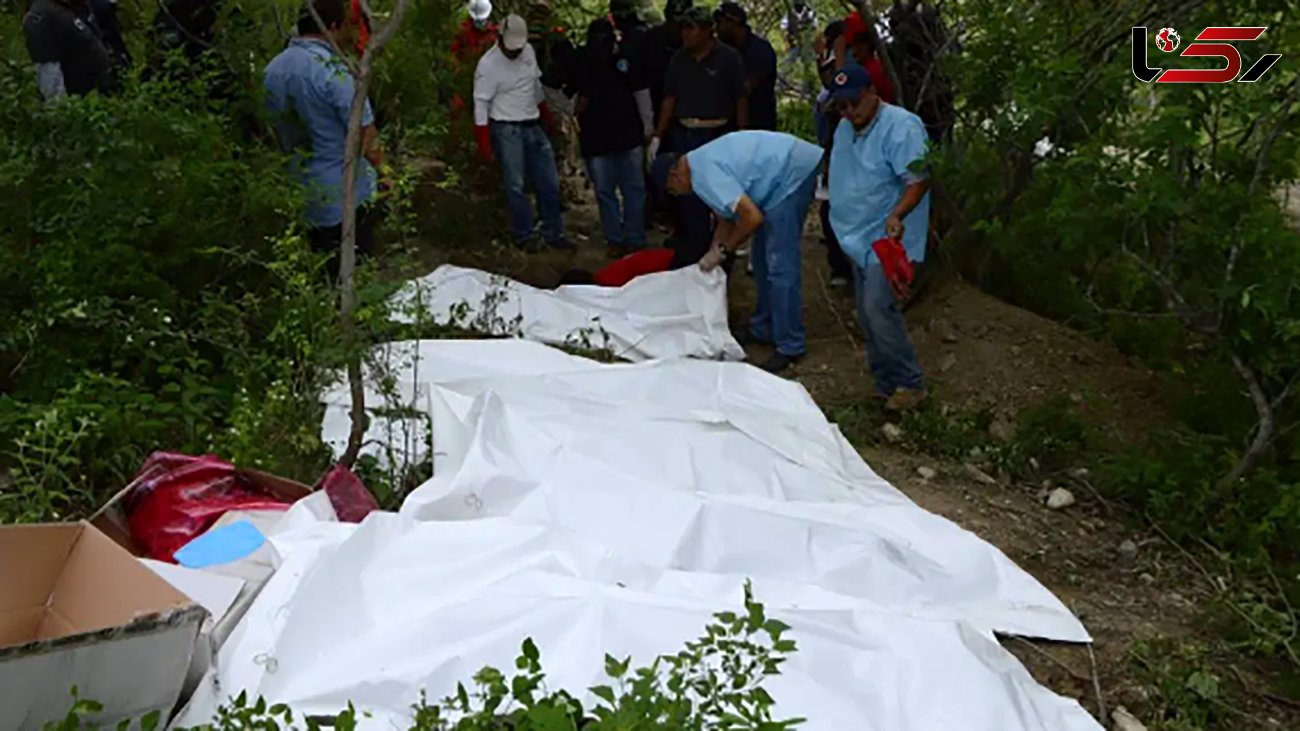کشف گور دسته جمعی با 59 جسد در منطقه جنگلی +  عکس