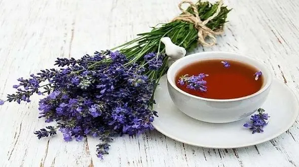 با ریشه این گیاه قلب تان مثل ساعت کار می کند