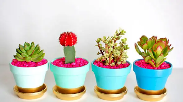 راز گل های شاداب در خانه