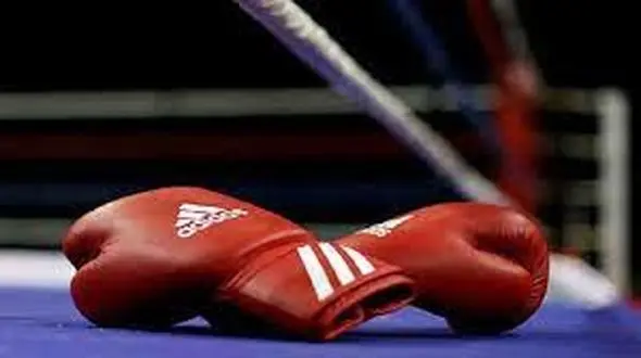 رونمایی از مدرک جعلی در فدراسیون بوکس/ دبیر فدراسیون برکنار می شود؟ + فیلم و عکس