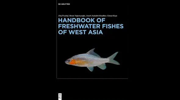 انتشار رایگان نخستین راهنمای جامع ماهیان آب شیرین غرب آسیا با مشارکت پژوهشگر ایرانی پس از ۱۸ سال تحقیق