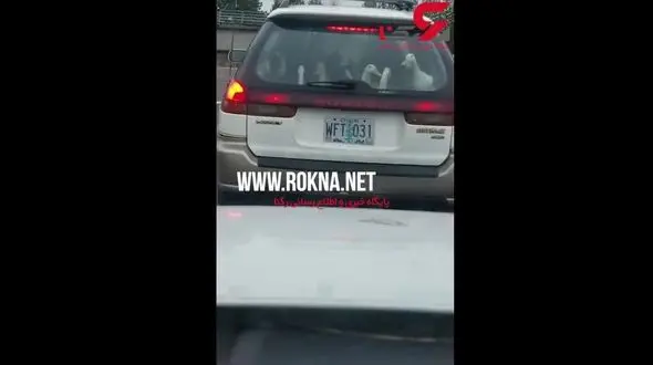 اقدام دیدنی یک راننده پشت چراغ قرمز+فیلم